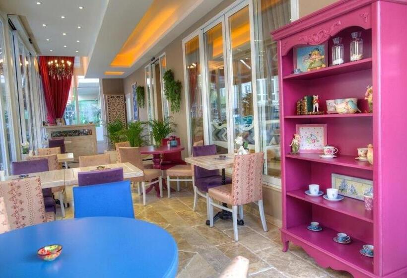 Fotos del hotel Elegance Asia:  16