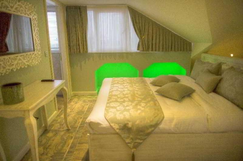 Fotos del hotel Elegance Asia:  15