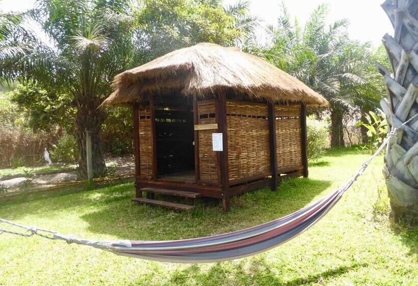 Leo S Beach Hotel   Adults Only