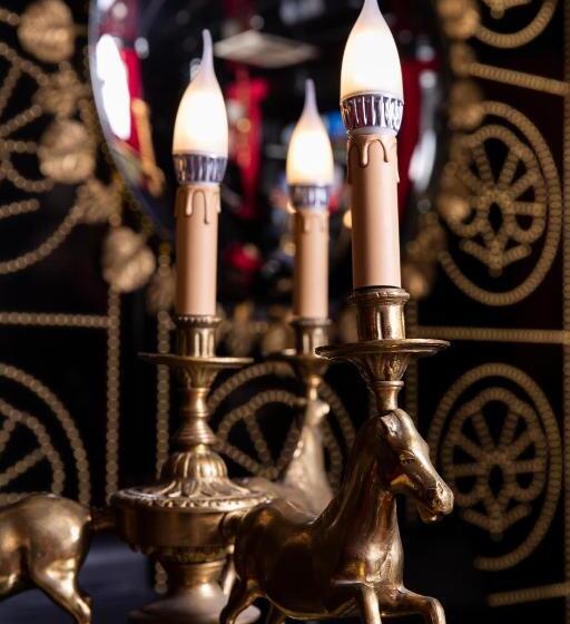 Fotos del hotel Premist S Sultanahmet:  43