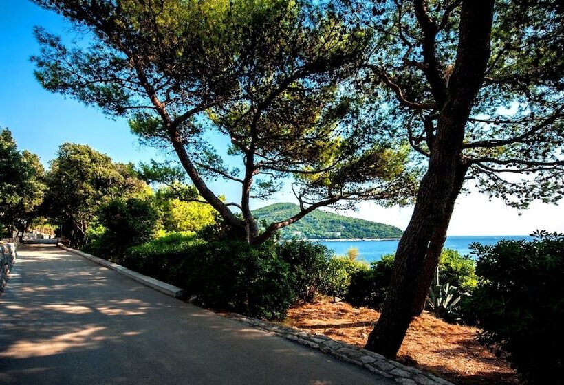 בית מלון כפרי Royal Palm