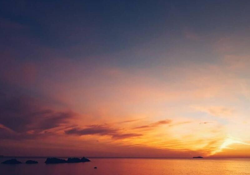 בית מלון כפרי Royal Palm