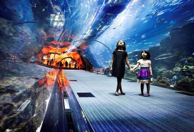 Fotos del hotel Novotel Dubai Al Barsha:  26