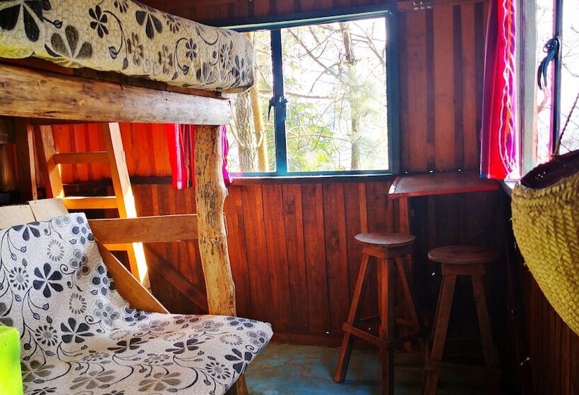 هتل Cabañas Campamento Tlatempa   Hostel