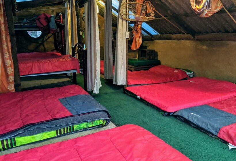 هتل Cabañas Campamento Tlatempa   Hostel