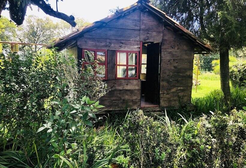 هتل Rancho Coyotepec