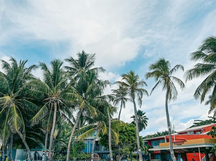 Fotos del hotel Cocoplum Beach:  14