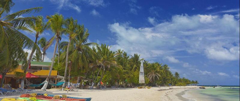 Fotos del hotel Cocoplum Beach:  12