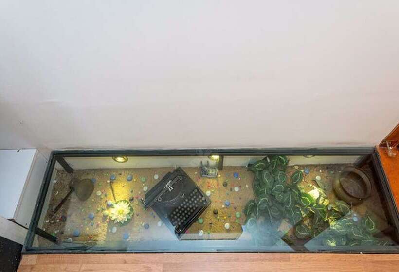 Fotos del hotel Corner Hot:  22