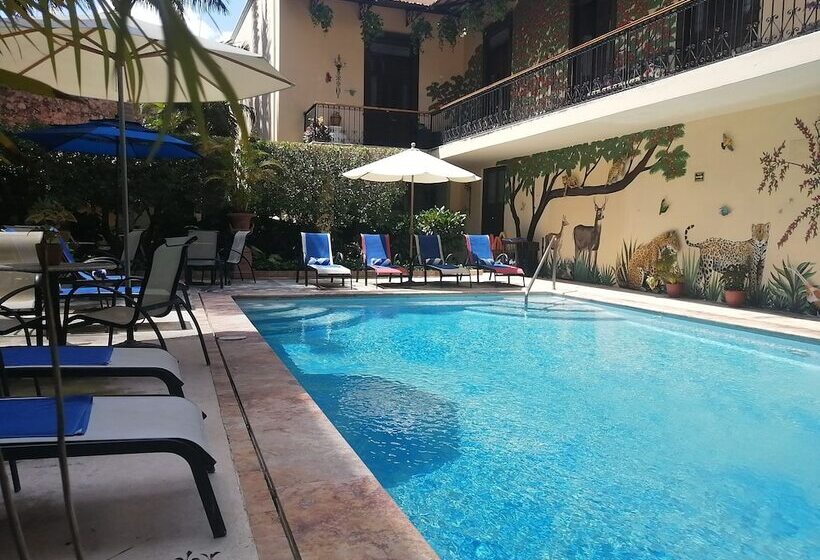 Fotos del hotel Mansión Mérida   Restaurant:  35
