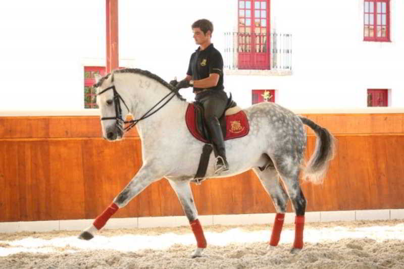 فندق Solar Doespirito Santo