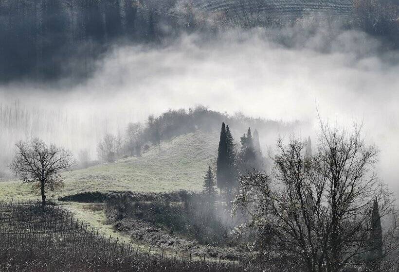 渡假胜地  Agriturismo Bio Fattoria Bacio