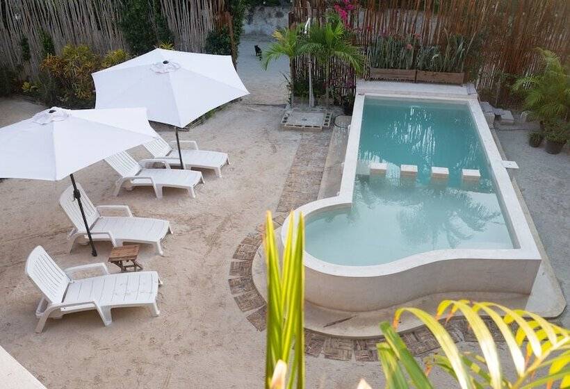 Arte Sano Hotel Only Adults   Near Beach