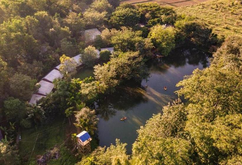 酒店 Dandeli Resorts Inn