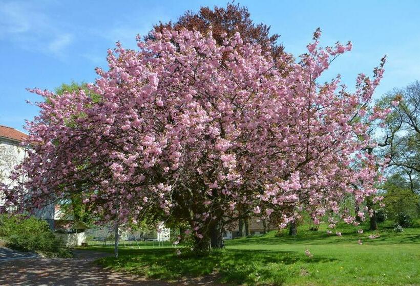 بنسيون Katrinebergs Folkhögskola B&b