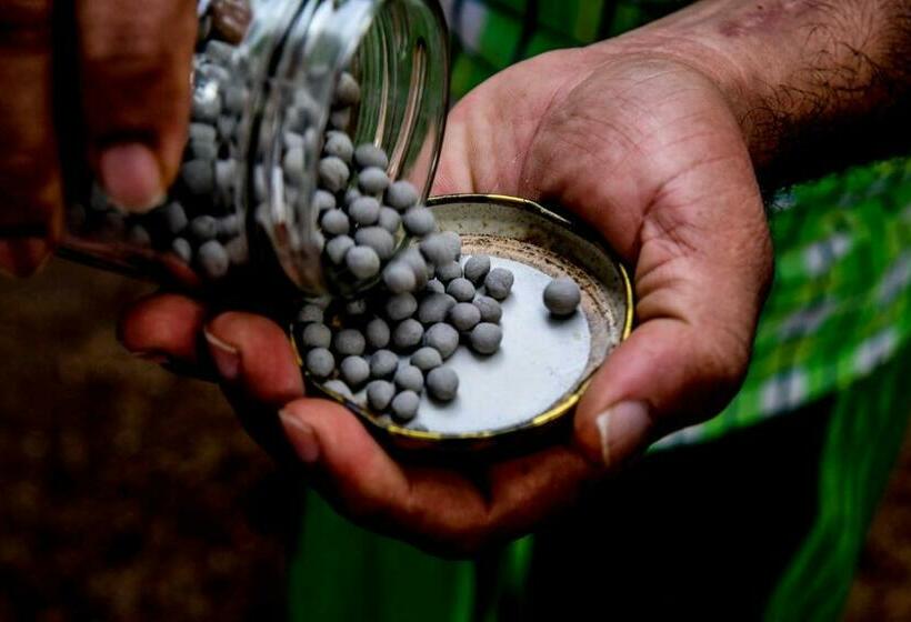 בית מלון כפרי Velmarie 10 Days Beginners Ayurveda Course