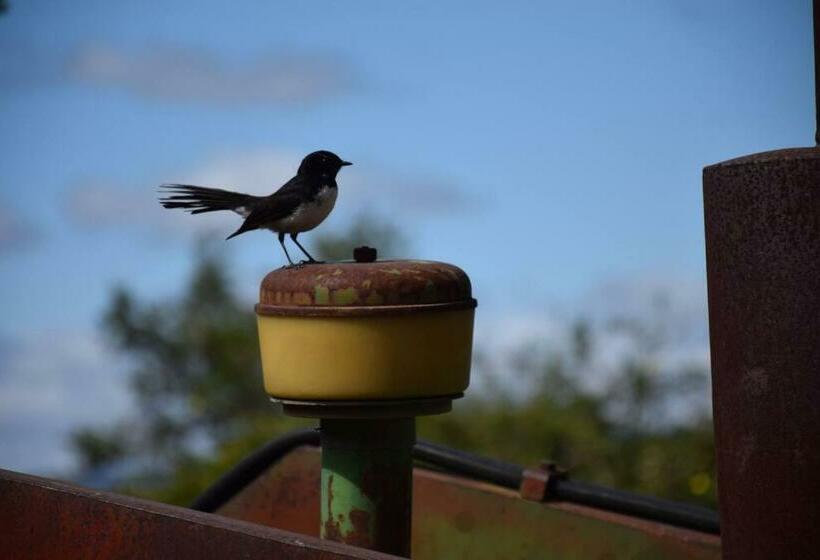 膳宿费 Glenlyon Dam Holiday Cottage & Farmstay