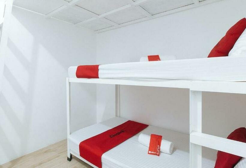 Отель Bernwoods Extyn B&b Dormitory