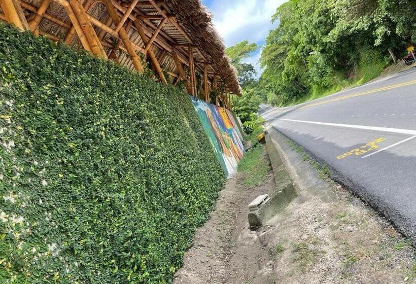 تختخواب و صبحانه Bambu Tayrona