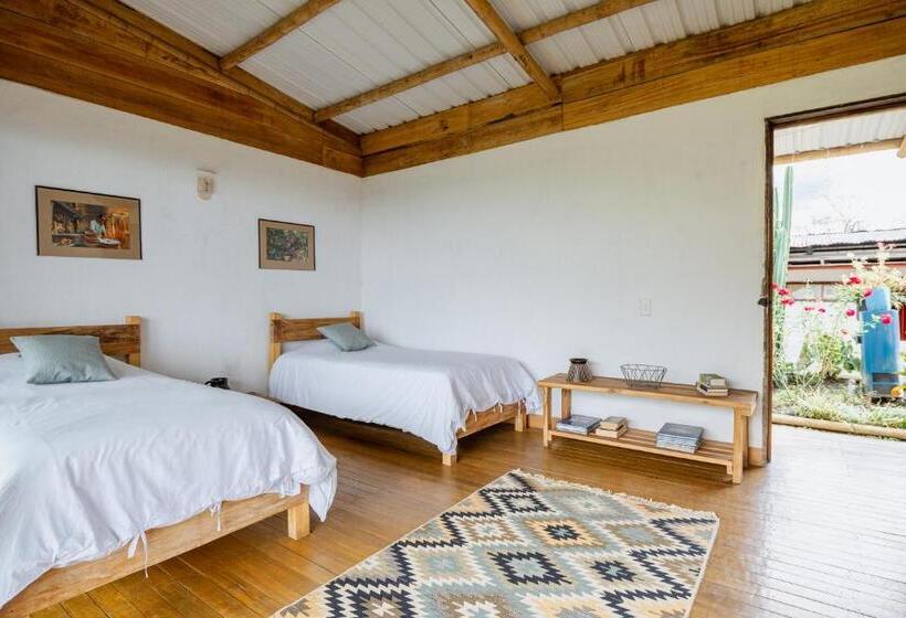 هتل El Fenix Coffee