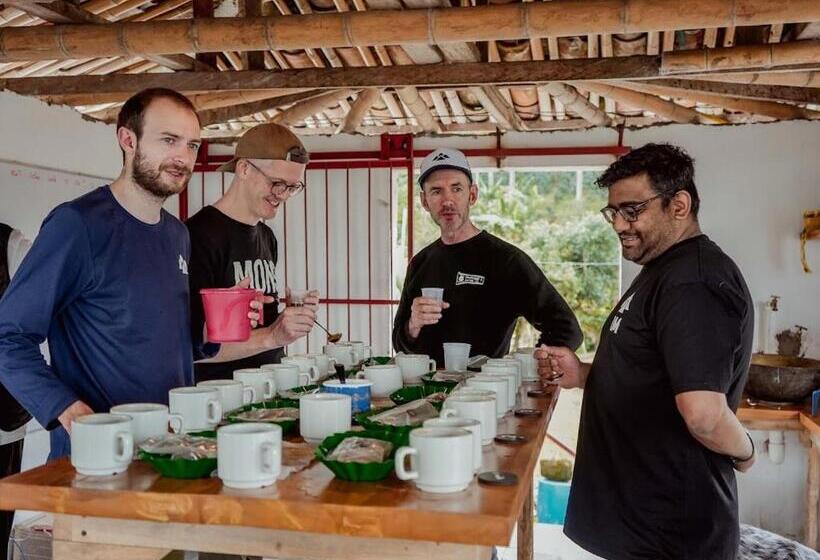 هتل El Fenix Coffee