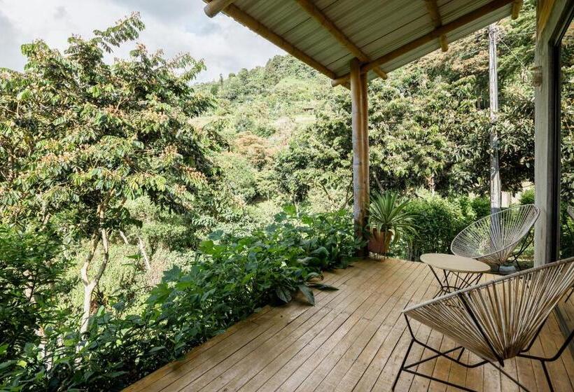 هتل El Fenix Coffee