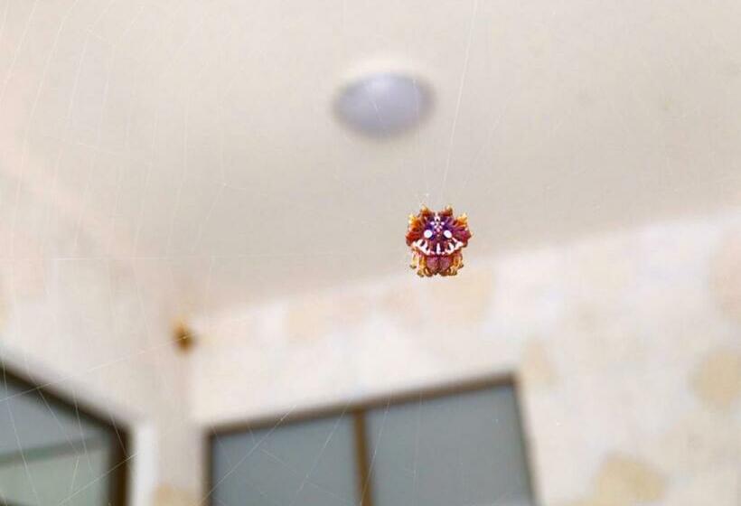 호텔 Kaya Resort Kourijima   Vacation Stay 95300v