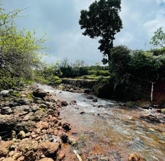 فندق Khushi Riverside Resort & Spa
