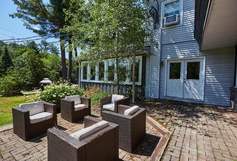 渡假胜地  3 Pines Lodge Muskoka