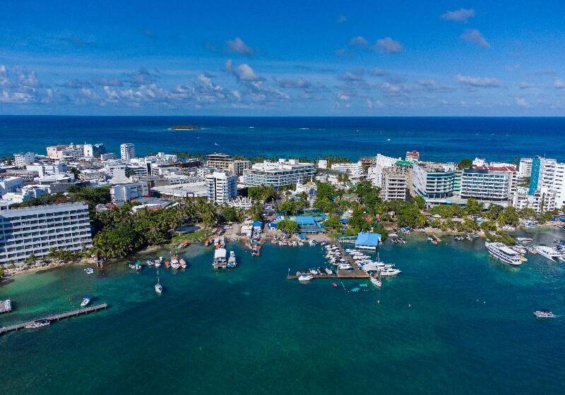 Fotos del hotel Aquamare:  49