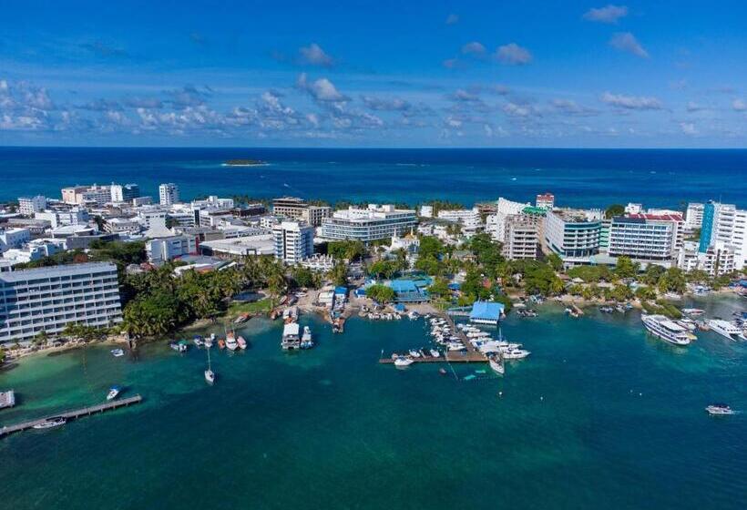 Fotos del hotel Aquamare:  3