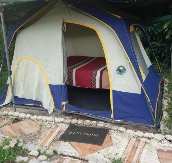 تختخواب و صبحانه Sunset Inn