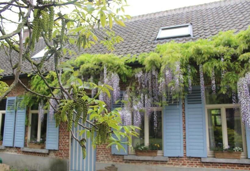 Saffels Nest 33