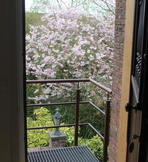 Saffels Nest 33