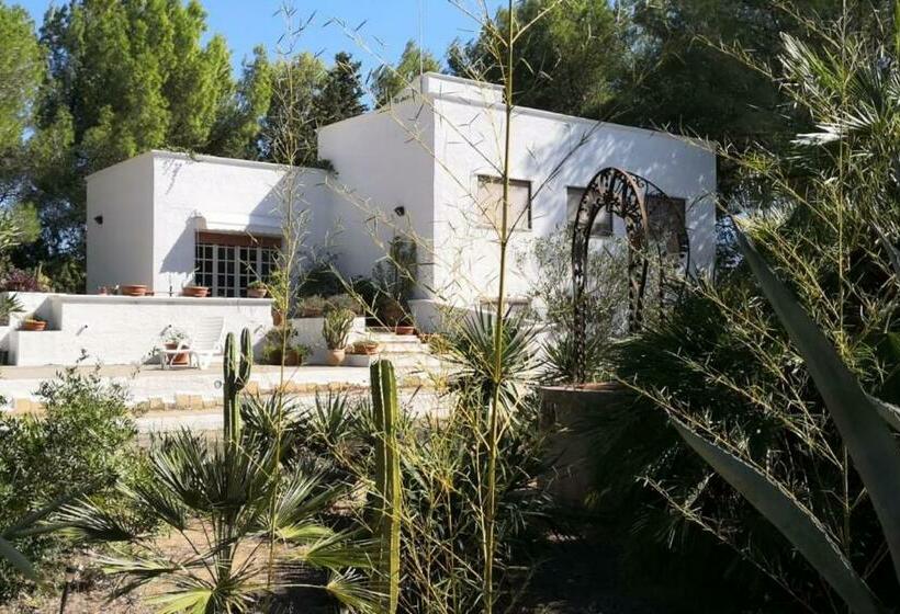 Bed and Breakfast I Due Pini