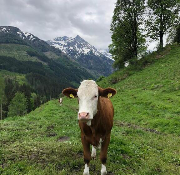 فندق Zauneralm