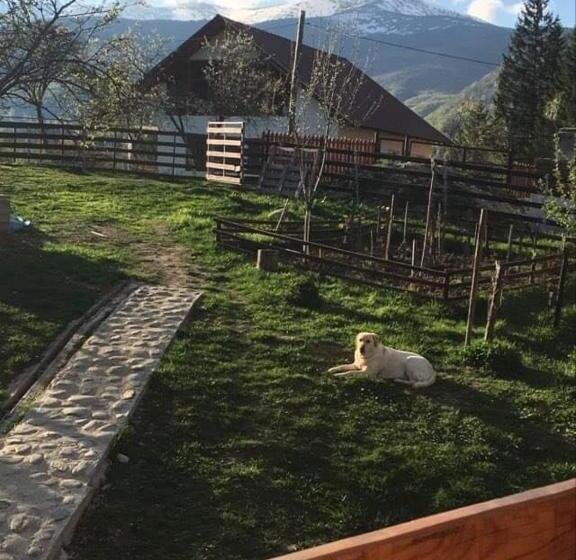 Пансион Forest Vibes Spa