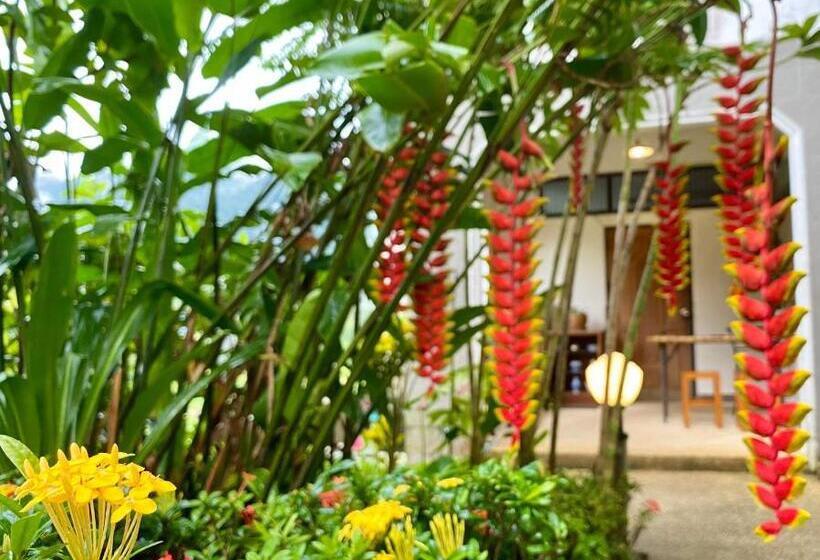 پانسیون Guesthouse 88 Phang Nga