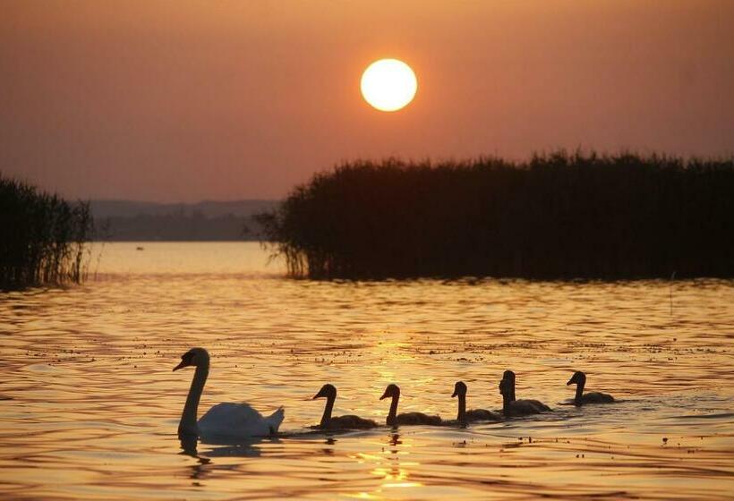 ペンション Hóvirág Apartman Balatonberény
