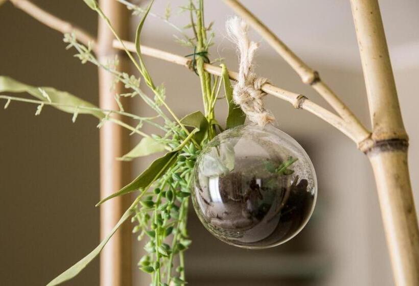 پانسیون Villa Domus Petraianca