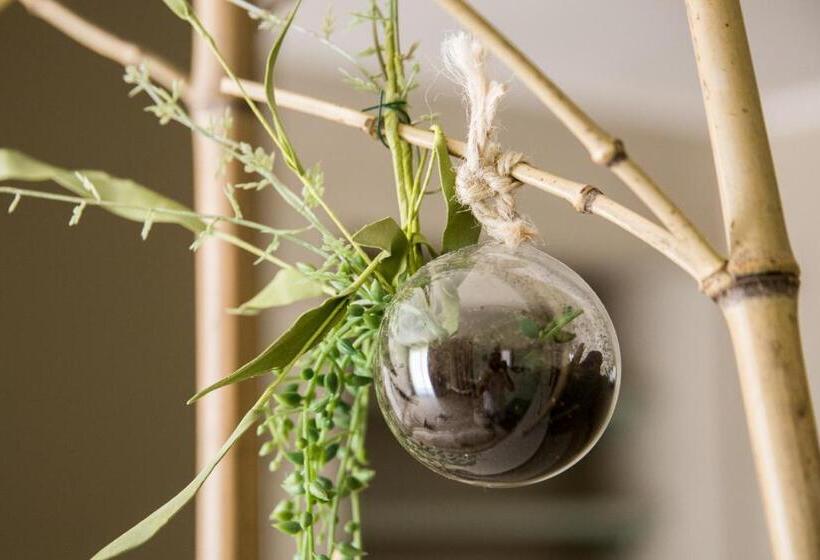 پانسیون Villa Domus Petraianca