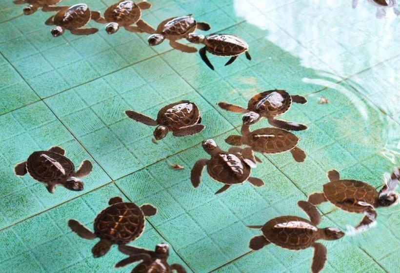 Fotos del hotel Good Heart Resort:  2