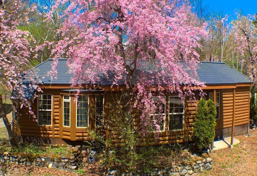 هتل Hakuba Canadian Lodge