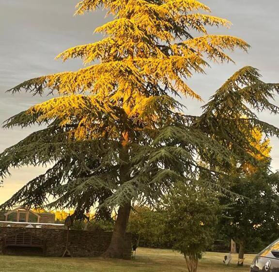 تختخواب و صبحانه Field End House Strawberry Lane Meysey Hampton