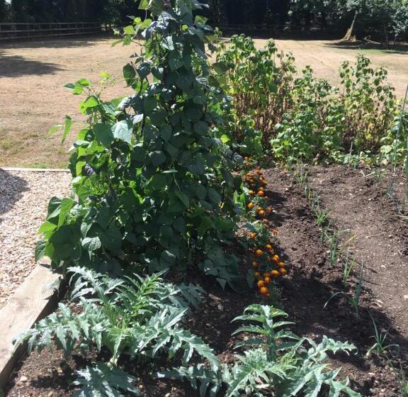 تختخواب و صبحانه Field End House Strawberry Lane Meysey Hampton