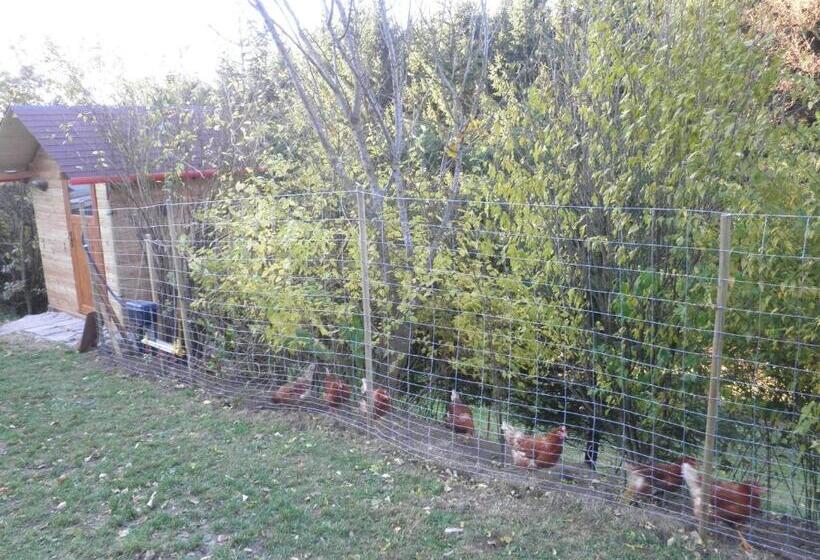 فندق Bio Bauernhof Haunschmid
