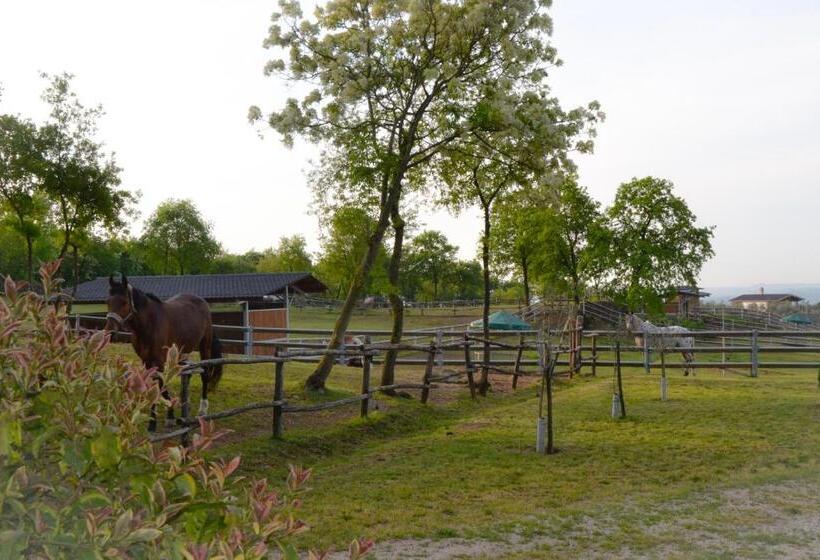 호텔 Pietra Cavalla   Ranch & Resort