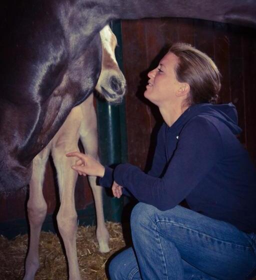 호텔 Pietra Cavalla   Ranch & Resort