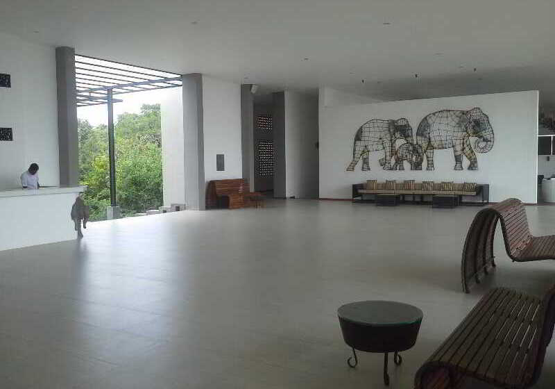 Fotos del hotel Aliya Resort And Spa:  11
