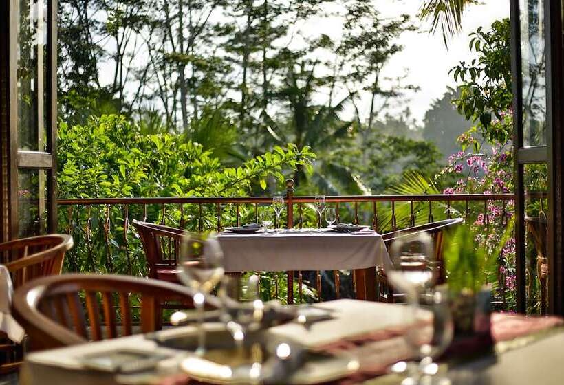 Fotos del hotel Ayung Resort Ubud:  5